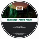 Sinan Kaya - Rave (Original Mix)