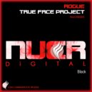 Rogue - True Face Project (Original Mix)