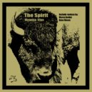 Veronica Elton & Dave Bloom - The Spirit (Dave Bloom Remix)