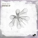 David Bau - Unified