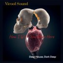 VICOOL SOUND - How I Wish You Were Here (Deep House, Dark Deep) 24.02.21