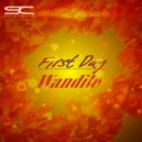 Wandile - First Day (Instrumental Mix)