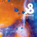 Budakid, Jamie Stevens - Story Of Tokay