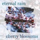 eternal rain - forget and forgive ()