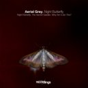 Aerial Grey - The Secret Garden