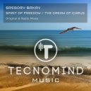 Gregory Bakay - The Dream of Icarus (Radio Edit)