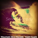 Yoshi Sushi - Seriously crazy