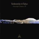 Seidensticker & Salour - From Dub To Dub