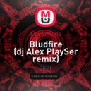 Eva Simons - Bludfire (dj Alex PlaySer Mash up)