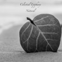 Celestial Epiphany - Natural