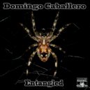 Domingo Caballero - Variant