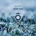 Quenions & 2Bodies - Frozen Grass