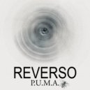 P.U.M.A. - Circle Line (Original Mix)
