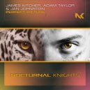 James Kitcher, Adam Taylor & Jan Johnston - Perfect Picture