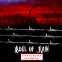 Soul of Rain - Прихована загроза
