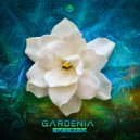 Breezer Live - Gardenia