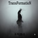 A-NUBI-S - Transformation