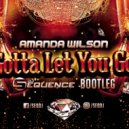 Amanda Wilson - Gotta Let You Go (Dj Sequence Bootleg)