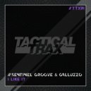 Sentinel Groove & Galluzzo - I Like It