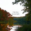 FAB (NL) - Boeda Spirit