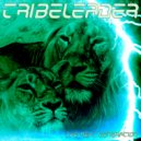 Tribeleader - THE NEXT GENERATION (New Version Chants)
