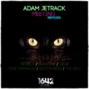 Adam Jetrack & SkizoPhrene - Meeting (SkizoPhrene Remix)