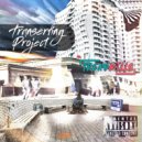 Transerfing Project - Willy Taner (Original Mix)