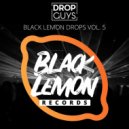 Dropguys - Girl Like Me