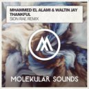 Mhammed El Alami, Waltin Jay - Thankful