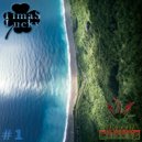 Timas Lucky - Vibro Checking Vol 1 (Liquid, Intelligent Drum and Bass mix)