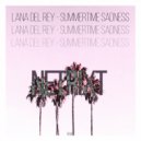 NETRIXT - Summertime Sadness (Extended Mix)