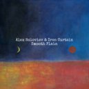 Alex Soloviev & Iron Curtain - Grey Sky (Original Mix)