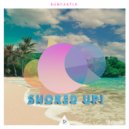 Suncastle - Stop the Huge Solar Park