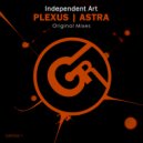 Independent Art - Plexus