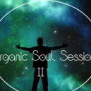 Mr Gom - Organic Souls session II