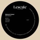 Memorie Cluster - Brother