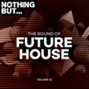 Lionis, Walter Alan - Under Your Spell (Original Mix)