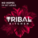 No Hopes - In My Arms