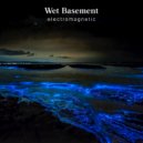 Wet Basement - Electrostatics