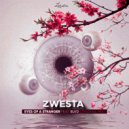 DJ Zwesta feat. BLVD - Eyes of a Stranger