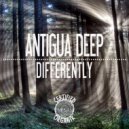 Antigua Deep - Differently (Reprise Mix)