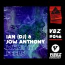 Ian (DJ), Jow Anthony - What it Feels