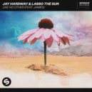 Jay Hardway & Lasso The Sun Ft. Jaimes - Like No Other