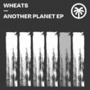 Wheats - Insomniac