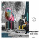 Spencer Brown - Cumulonimbus Incus