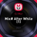 DJ Mur - Mix# After While
