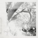Leaving Laurel - Winter In The Woods