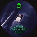 Ian tribb & Martin Bellomo - I Feel You Go (Martin Bellomo Remix)