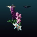 Massane - Not Alone