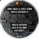 Chris Coles & Latex Zebra - Back In The Room